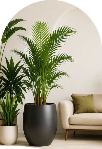 Plantora greenery